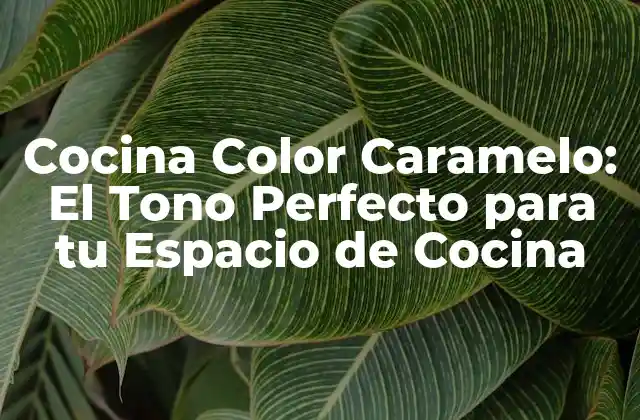 Cocina Color Caramelo: el Tono Perfecto para Tu Espacio de Cocina