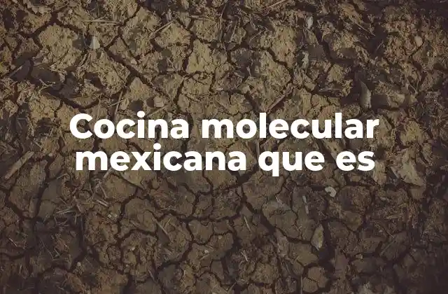 Cocina Molecular Mexicana que es