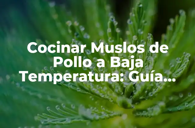 Cocinar Muslos de Pollo a Baja Temperatura: Guía Detallada