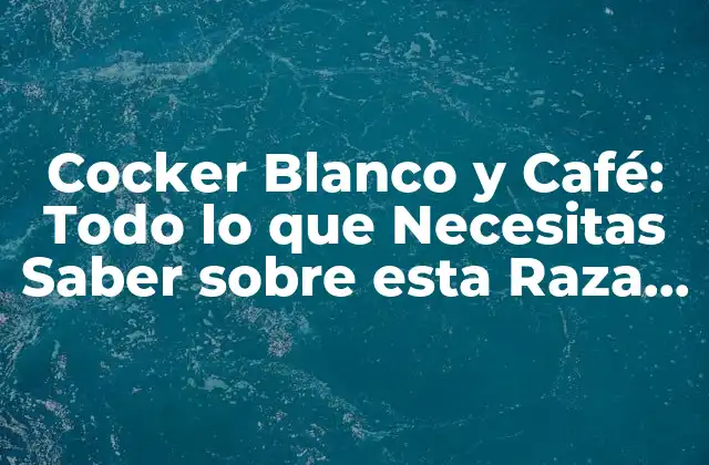 Cocker Blanco y Café: Todo Lo que Necesitas Saber sobre Esta Raza Canina