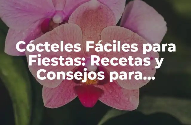 Cócteles Fáciles para Fiestas: Recetas y Consejos para Impresionar