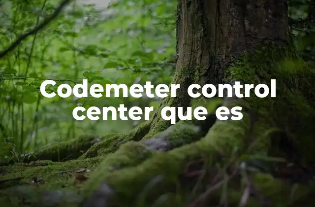 Codemeter Control Center que es