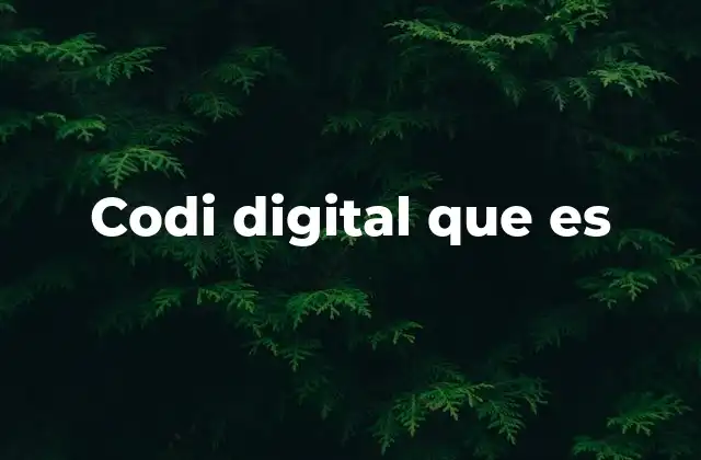 Codi Digital que es