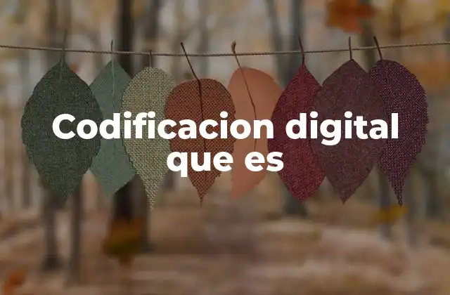 Codificacion Digital que es