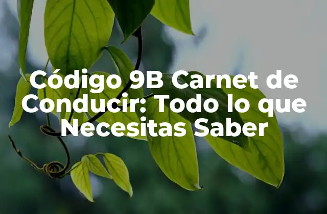 Código 9b Carnet de Conducir: Todo Lo que Necesitas Saber