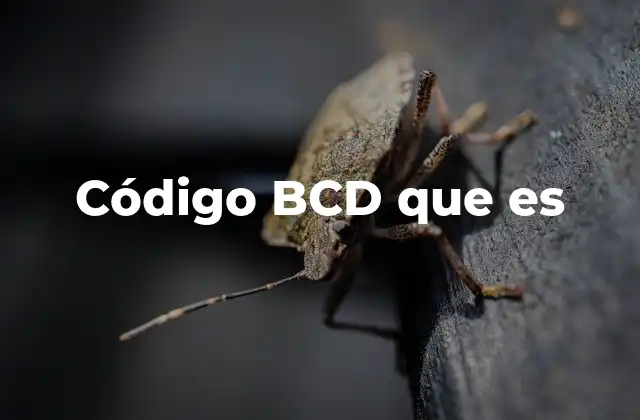 Código Bcd que es