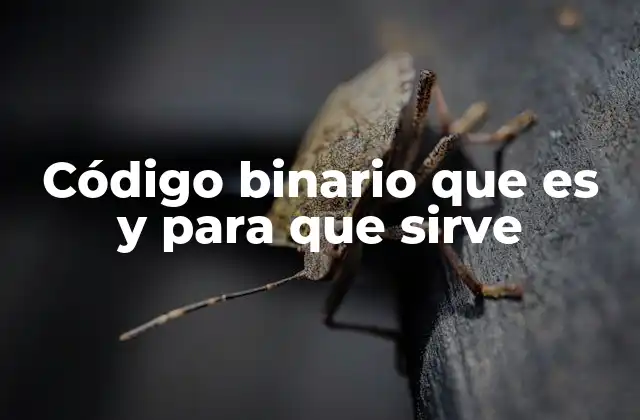Código Binario que es y para que Sirve 2 Cómo el sistema binario ha revolucionado la tecnología moderna