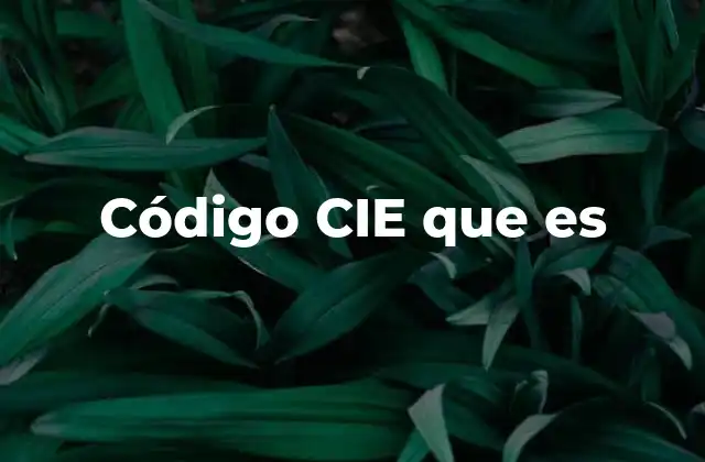 Código Cie que es