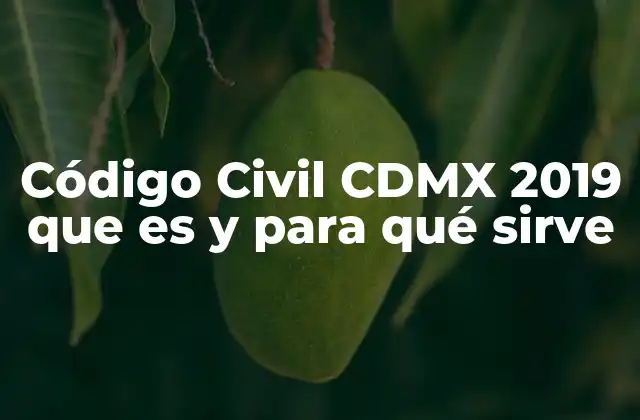Código Civil Cdmx 2019 que es y para Qué Sirve