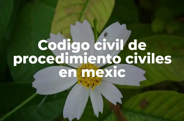 Codigo Civil de Procedimiento Civiles en Mexic