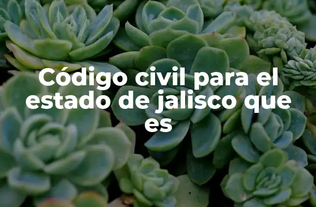 Código Civil para el Estado de Jalisco que es