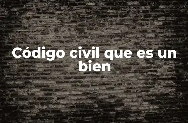 Código Civil que es un Bien