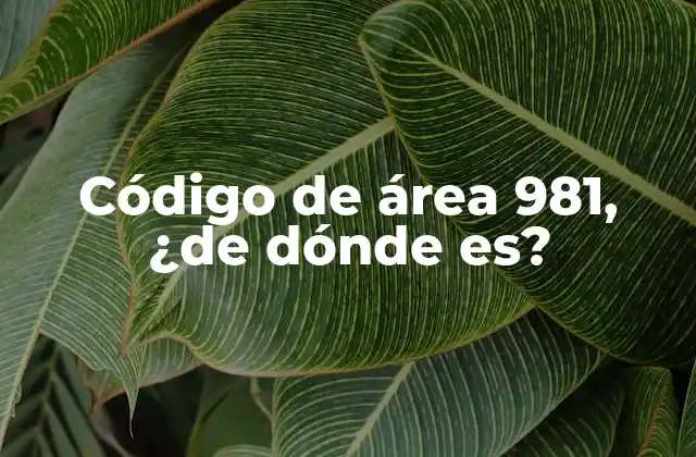 Código de Área 981, ¿de Dónde Es?