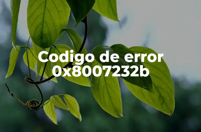 Codigo de Error 0x8007232b