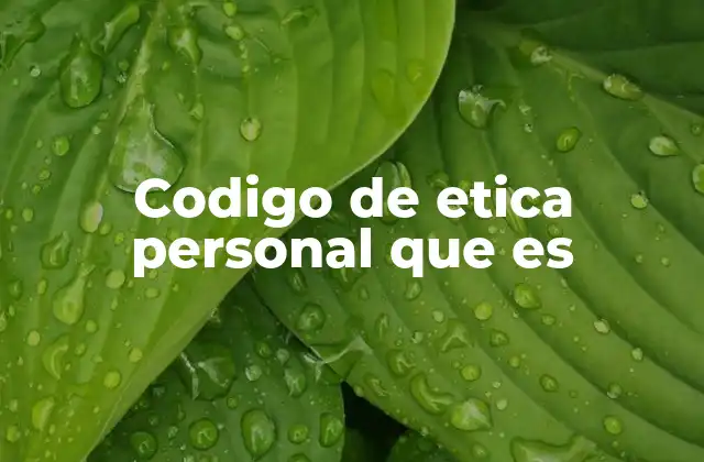 Codigo de Etica Personal que es