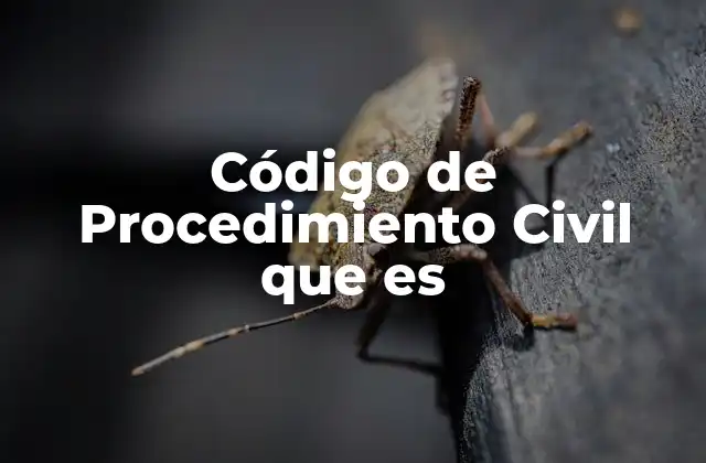 Código de Procedimiento Civil que es