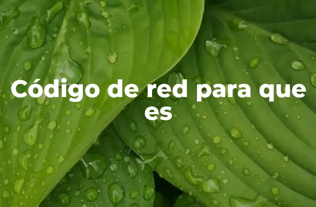 Código de Red para que es