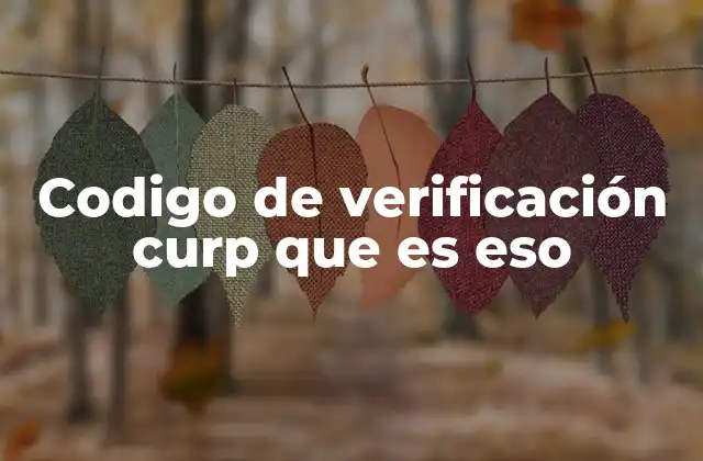 Codigo de Verificación Curp que es Eso