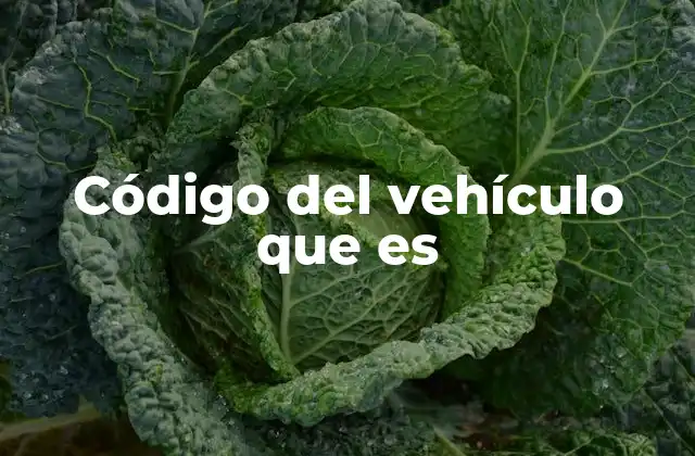 Código Del Vehículo que es