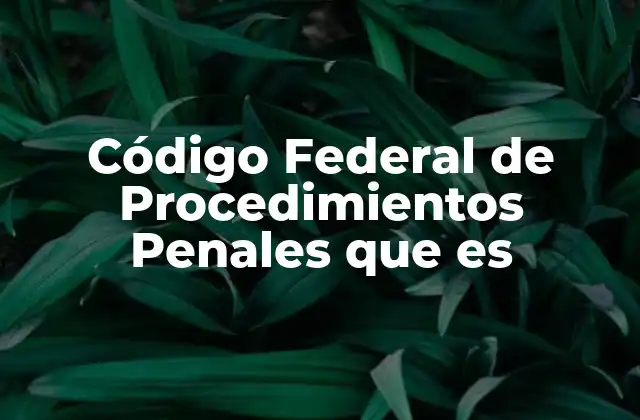 Código Federal de Procedimientos Penales que es