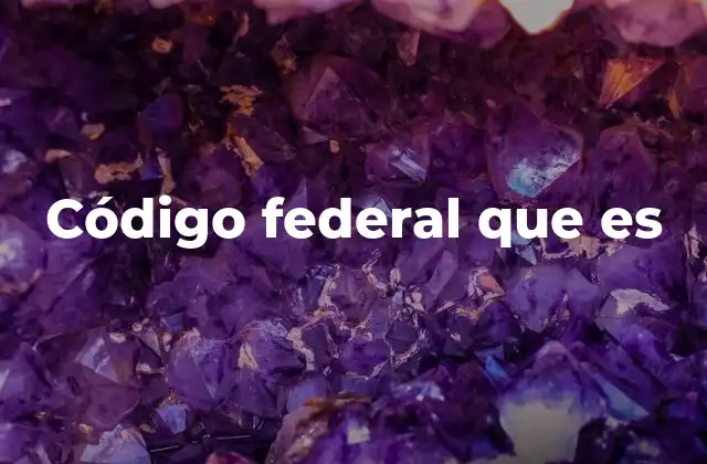 Código Federal que es