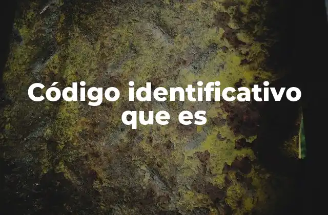 Código Identificativo que es