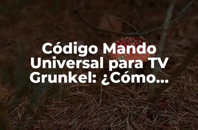 Código Mando Universal para Tv Grunkel: ¿cómo Funciona y Cómo Obtenerlo?
