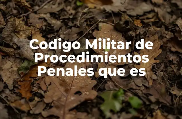 Codigo Militar de Procedimientos Penales que es 2 El marco legal que sustenta el Código Militar de Procedimientos Penales
