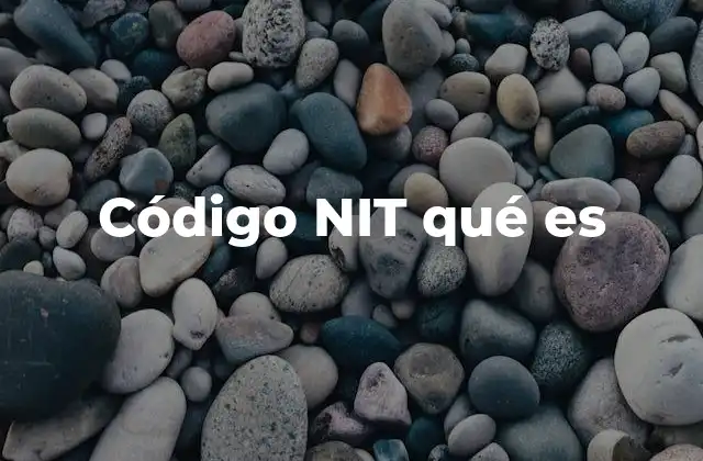 Código Nit Qué es