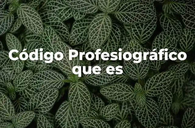Código Profesiográfico que es 2 La importancia de tener un código de conducta profesional