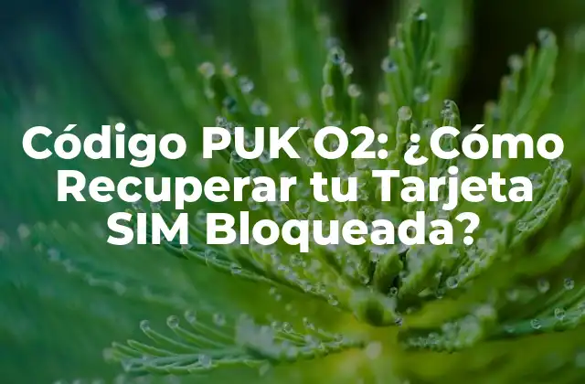 ¿Qué es el Código PUK O2?