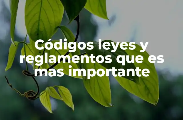 Códigos Leyes y Reglamentos que es mas Importante