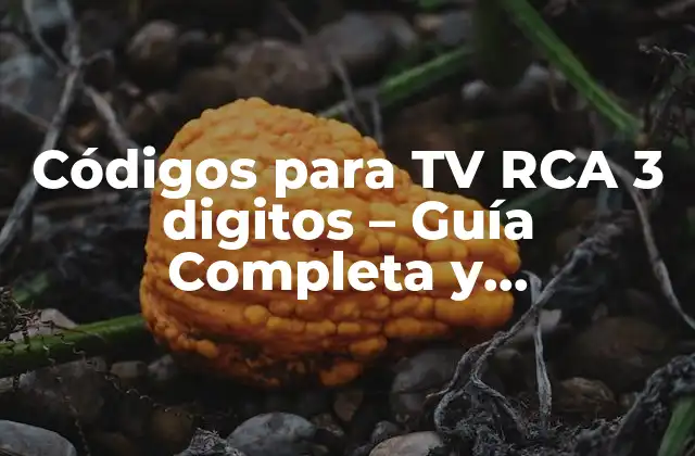 Códigos para Tv Rca 3 Digitos – Guía Completa y Actualizada