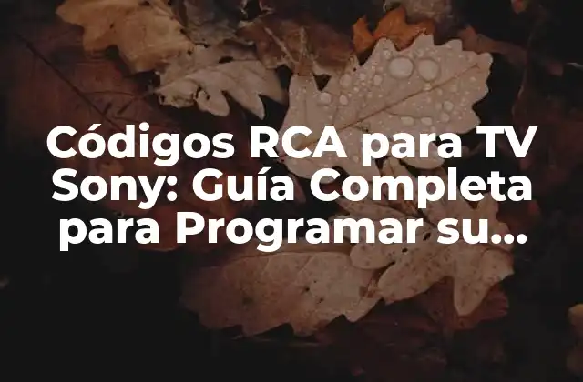 ¿Qué son los códigos RCA y cómo funcionan?