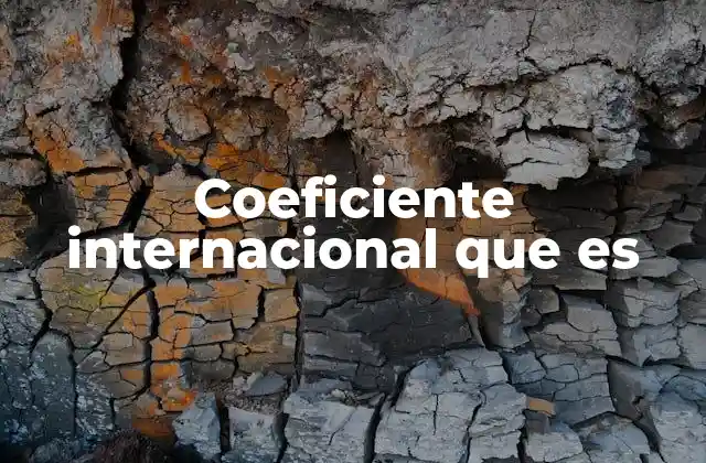 Cómo se utilizan los coeficientes internacionales en la toma de decisiones