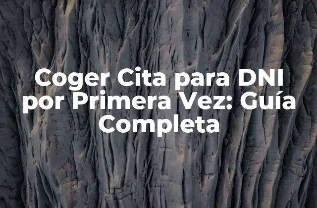 Coger Cita para Dni por Primera Vez: Guía Completa