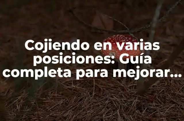 Cojiendo en Varias Posiciones: Guía Completa para Mejorar Tu Flexibilidad y Disfrutar Del Sexo