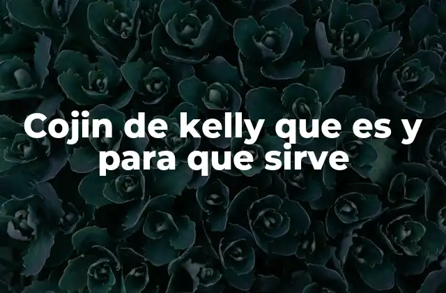 Cojin de Kelly que es y para que Sirve