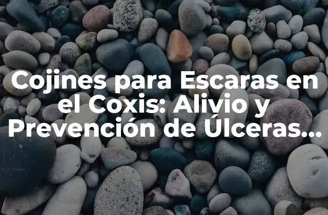 Cojines para Escaras en el Coxis: Alivio y Prevención de Úlceras de Presión