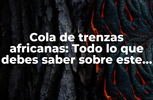 Cola de Trenzas Africanas: Todo Lo que Debes Saber sobre Este Estilo de Cabello