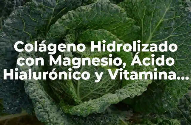 Colágeno Hidrolizado con Magnesio, Ácido Hialurónico y Vitamina C: la Fórmula Perfecta para la Salud y la Belleza