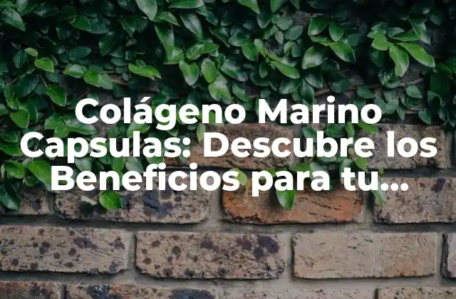 ¿Qué es el Colágeno Marino?