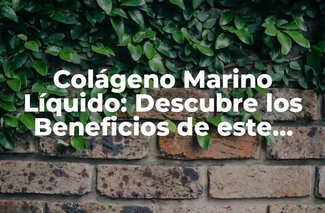 Colágeno Marino Líquido: Descubre los Beneficios de Este Suplemento Natural