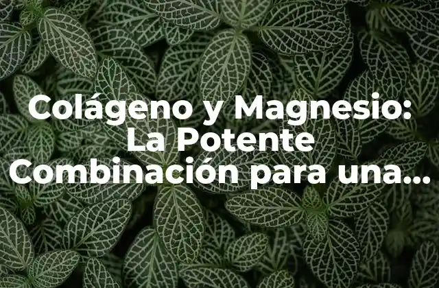 Colágeno y Magnesio: la Potente Combinación para una Salud Optima ( Exacta)