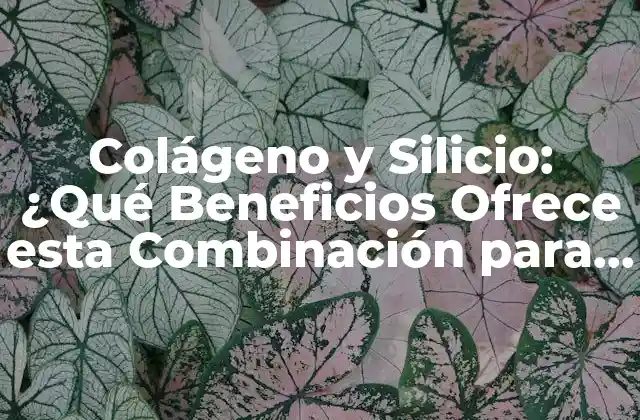 Colágeno y Silicio: ¿qué Beneficios Ofrece Esta Combinación para Tu Salud?