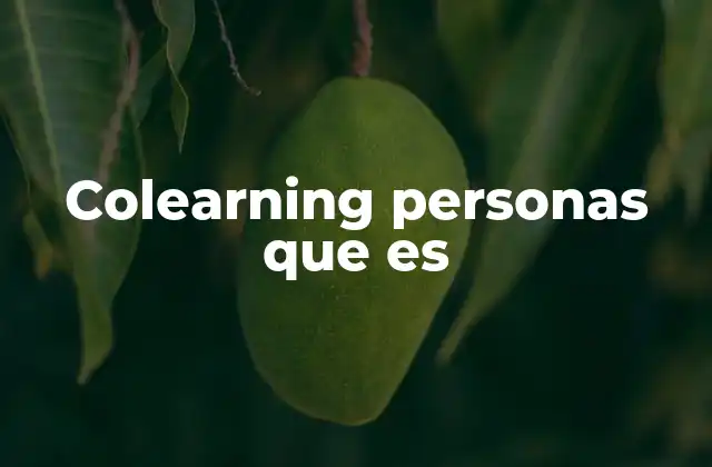 Colearning Personas que es