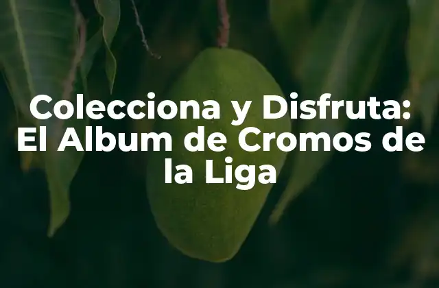 Colecciona y Disfruta: el Album de Cromos de la Liga