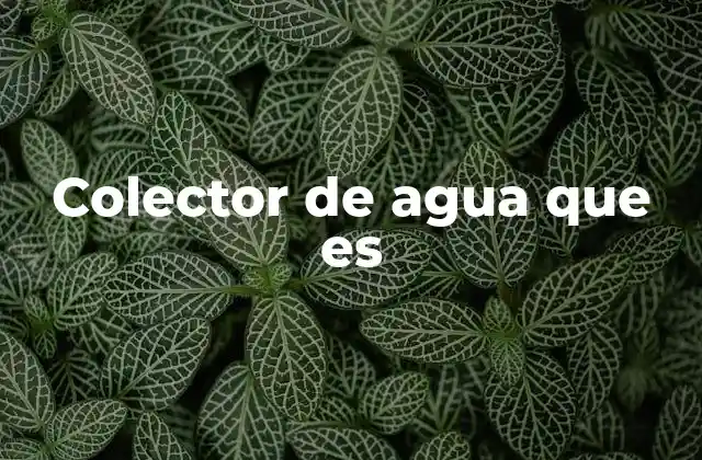 Colector de Agua que es
