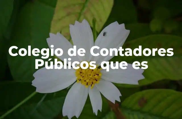Colegio de Contadores Públicos que es