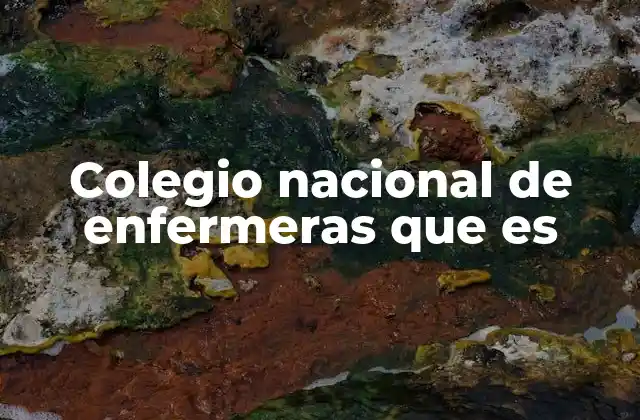 Colegio Nacional de Enfermeras que es